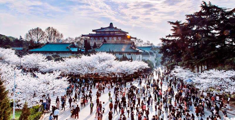 How to Choose a City and University to Study in China?